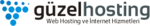 güzelhosting logo.png